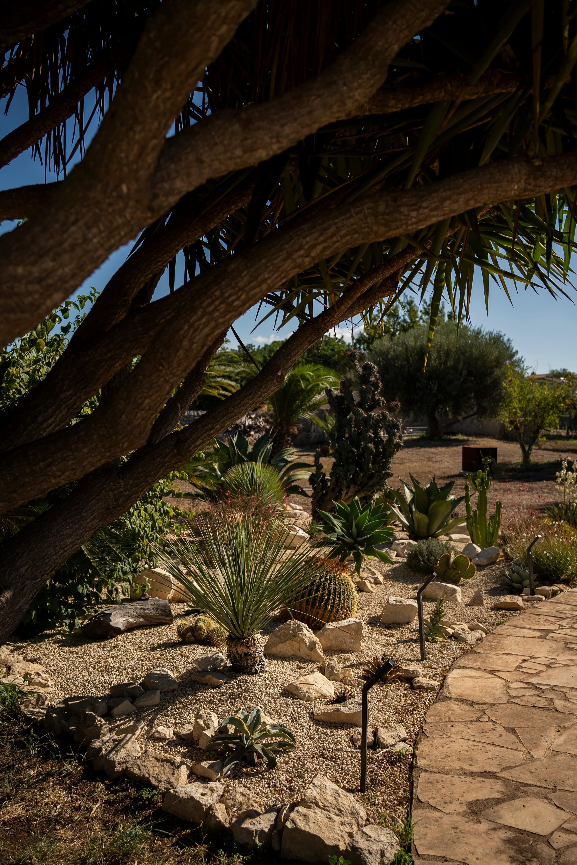Lush Mediterranean flora throughout the grounds